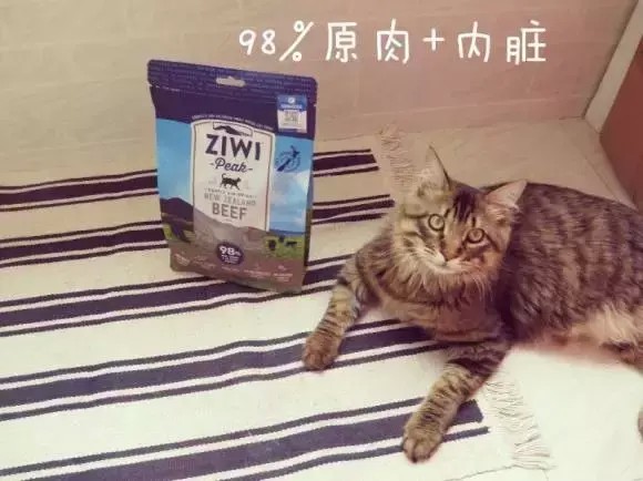 体验馆｜猫粮中の爱马仕让主子登顶一生巅峰