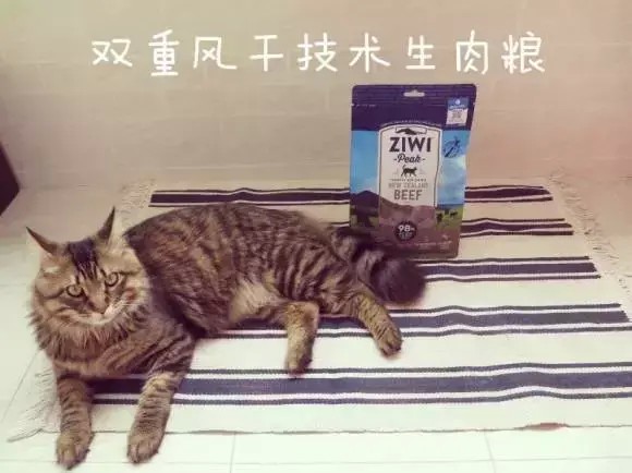 体验馆｜猫粮中の爱马仕让主子登顶一生巅峰