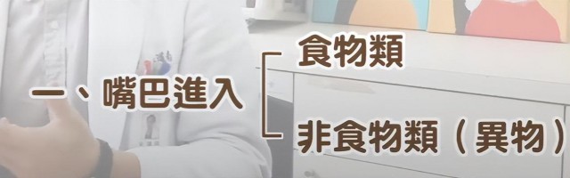 「宠物冷知识」狗狗常见的肠胃疾病你知道多少